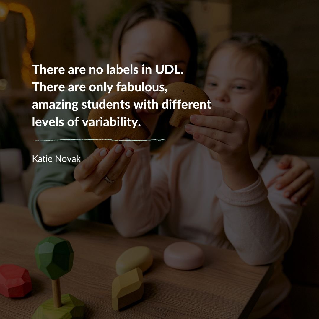 There are no labels in UDL. There are only fabulous, amazing students with different levels of variability.